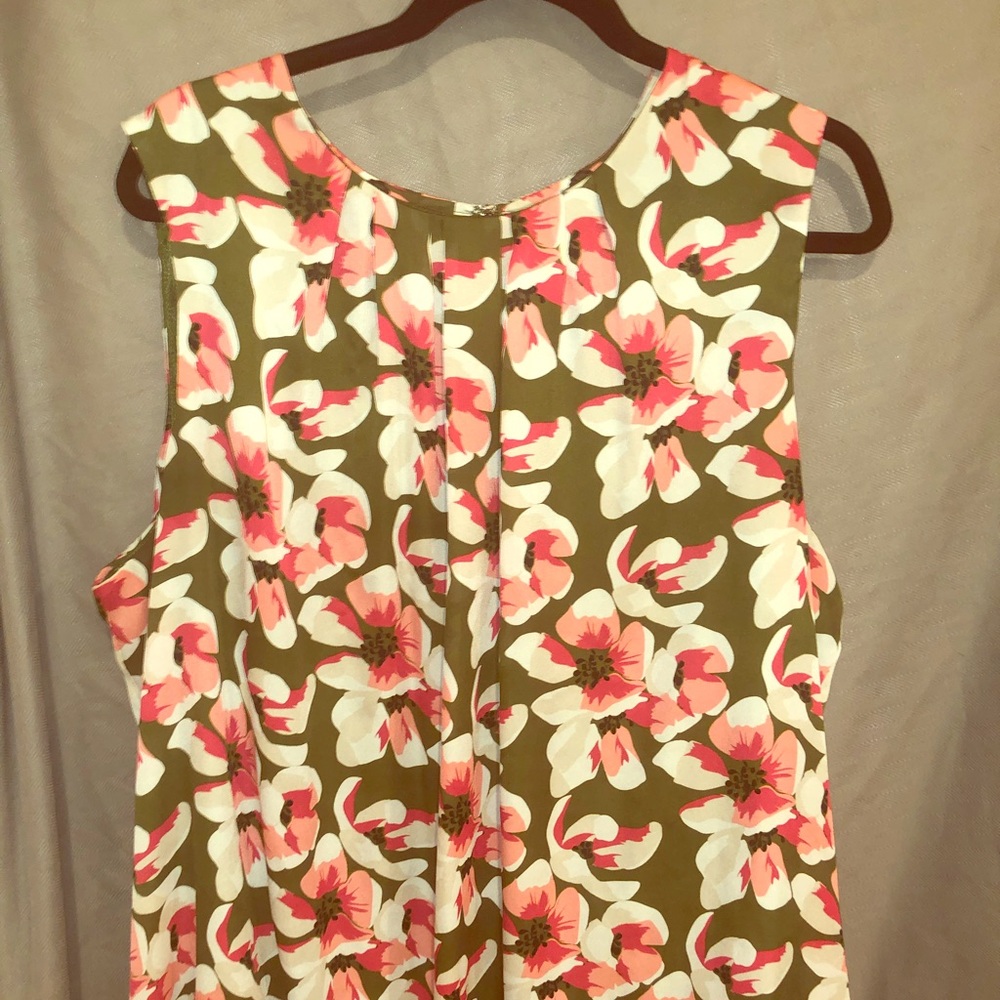 Lovely pink and olive green shell